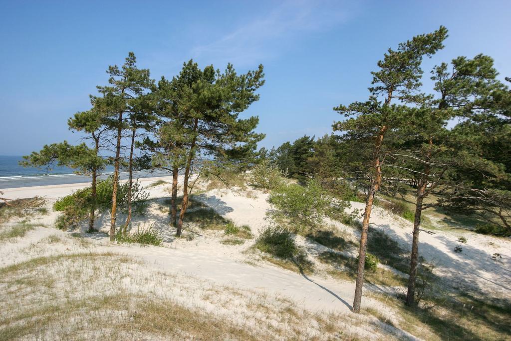 Vila Medus Паланга Екстериор снимка